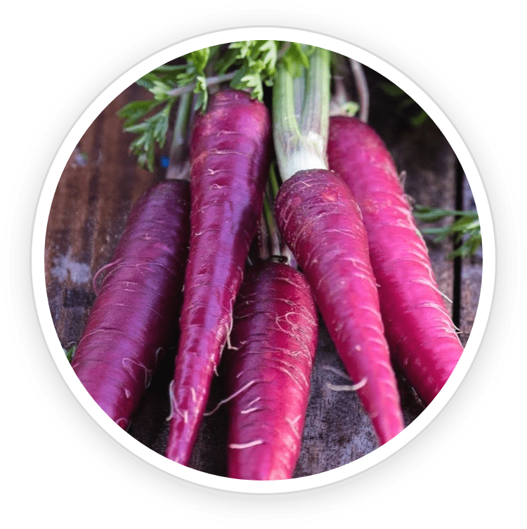 Ignite your metabolism with HoneyBurn